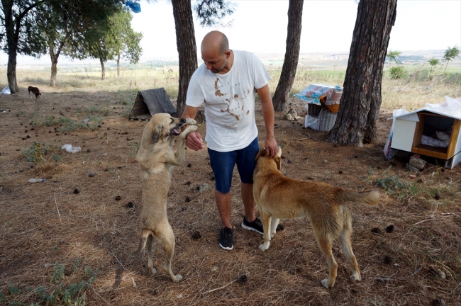 Hayvanseverler sokak hayvanlarına atık malzemelerden yuva yapıyor